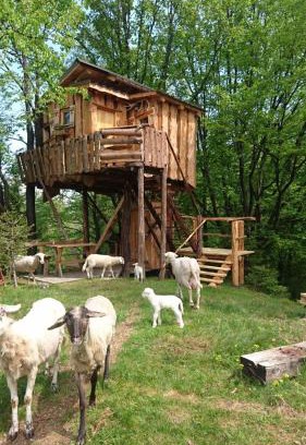 Sveti Duh na Ostrem Vrhu Chalet De Esquí | Treehouse Toplak