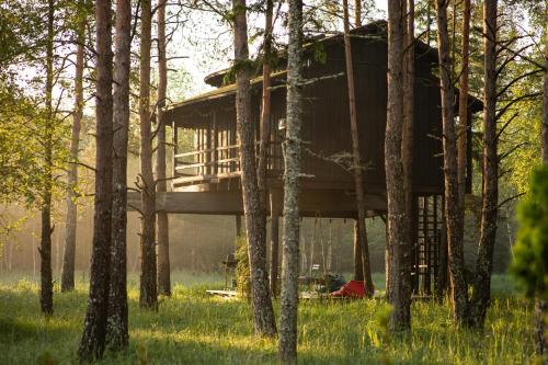 Saue Parish Cabina | Treehouseestonia