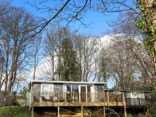 Bont Newydd Casa | Treetops