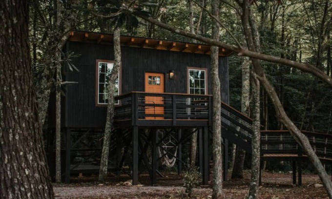 Flag Pond Cabina | Trent Treehouse Unit 7- Not Pet Friendly - Glamping Retro