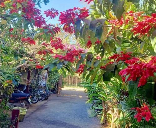 Ban Lung Casa | Tribal Village Homestay & Trekking