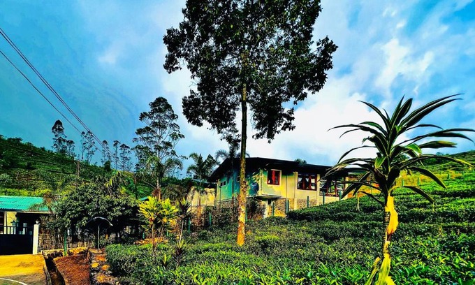 Hatton Hotel | TRINITONS tea view lake resort