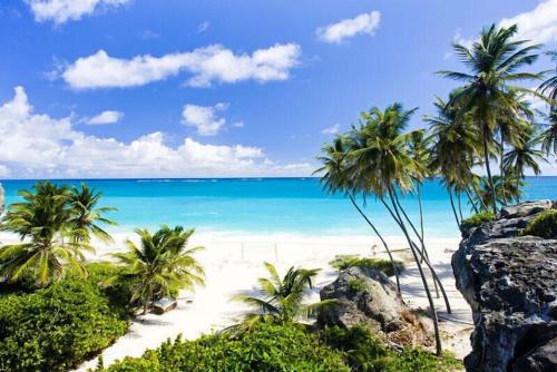 Douglas Casa | Tropical Apartment with private patio, Walk to Beaches, Shops and Cafes