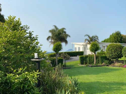 Tauranga Casa | Tropical Avocado Orchard Escape Ohauiti