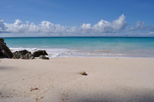 Silver Sands Apartamento | Tropical Gecko Studio - Sweet Jewel Apartments