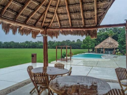 Puerto Morelos Apartamento | Tropical polo lodge