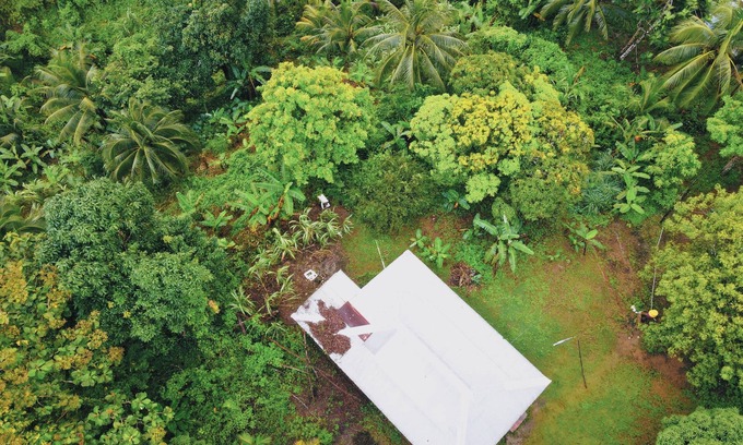 Moore Town Otro | Tropical Rain For Us: Eco OffGrid Retreat Venue with WiFi - Airy Castle, Jamaica