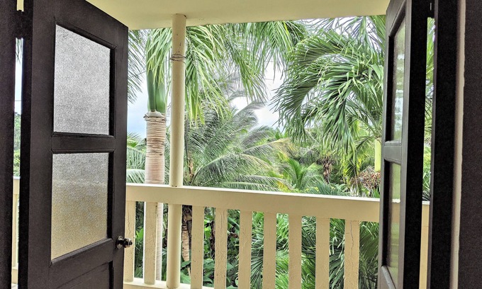 Duque Cabina | Tropical Rainforest Retreat