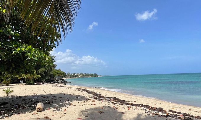 Rio Grande Condominio | Tropical Resort , 5 Pools & Direct Beach Access