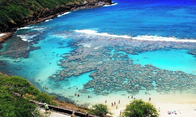 Eastern Honolulu Casa | Tropical Tranquility - Water Views!!