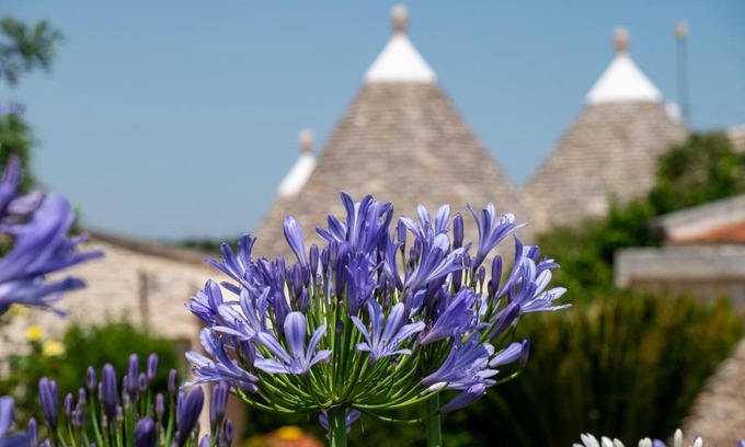 Castellana Grotte Casa | Trulli Oasi Fiorita - Exclusive Apulian Holidays