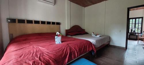 Lacanja Apartamento | Tu Casa en la Selva Lacandona