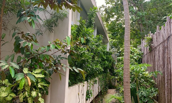 La Veleta Apartamento | Apartamento de diseño Chuhuk B Tulum