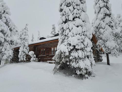 Rukatunturi Chalet De Esquí | Tunnelmallinen kelohonkamökki (paritalon puolikas) Rukalla