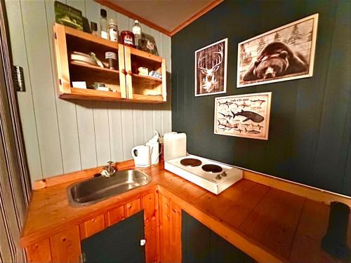 Meraker Otro | Turifoss Camping Cabin 1
