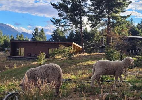 Cochrane Apartamento | Turismo y Cabañas Dragon de La Patagonia