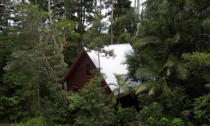 Mount Glorious Cabaña | Nido de pavo - Rose Gum Cottage