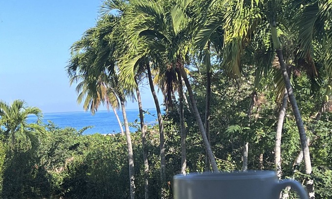 Rincon Casa | TURQUESA del MAR, private tropical oasis just steps to beach and town center!