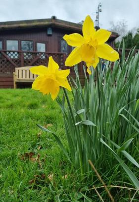 Builth Wells Apartamento | Turtle Lodges 29 - Riverside