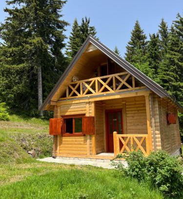 Central Serbia Chalet De Esquí | Tvoja Kućica Za Beg