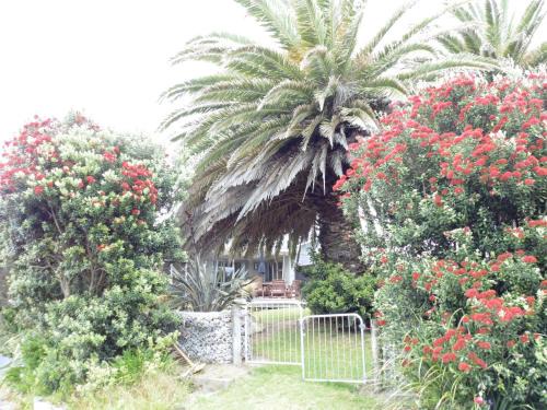 Waikanae Casa | Twin Palms