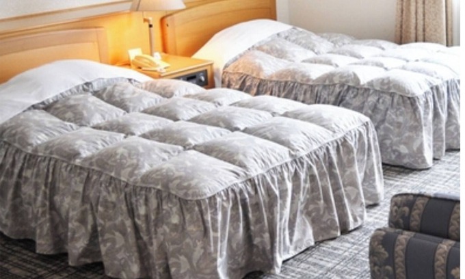 Nakaniikawa-gun Hotel | Twin room in the main building Kaiseki course re / Toyama Toyama