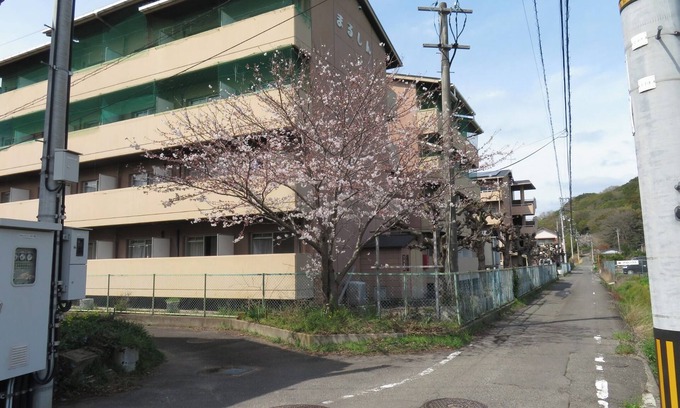 Sanuki Apartamento | Twin room with 2 single beds Vacation Rental Busin/Sanuki Kagawa