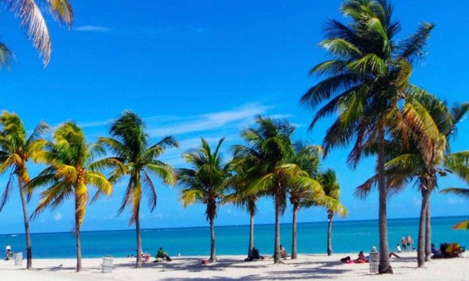 Key Biscayne Apartamento | A dos minutos de la playa.