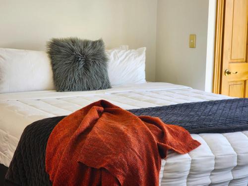 Te Aro Apartamento | U Suites on Courtenay