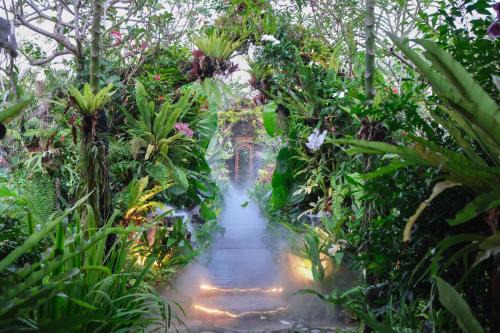 Mas Complejo | Ubud Art Resort