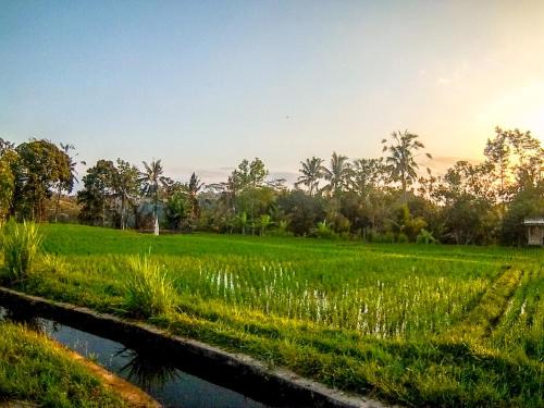 Kedewatan Villa | Ubud Paradise Villa