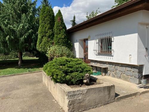 Hustopece Casa | Ubytování ve vinici
