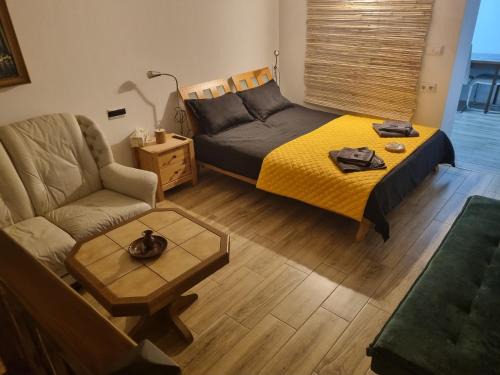 Bistrita Apartamento | Ultracentral Garage studio