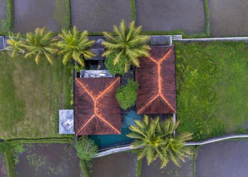 Tegallalang Villa | Uma Langkih Villa