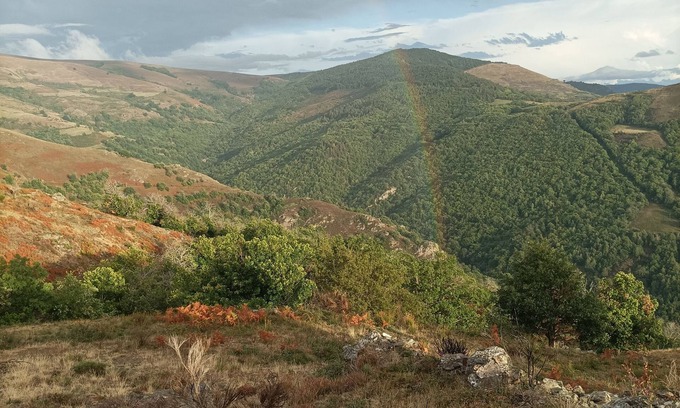 La Salle-Prunet Casa | Un Écrin de Verdure Entre Causses Cévennes et Mont Lozère