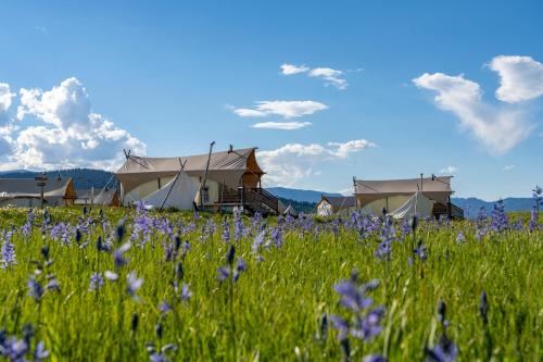 West Yellowstone Otro | Under Canvas West Yellowstone