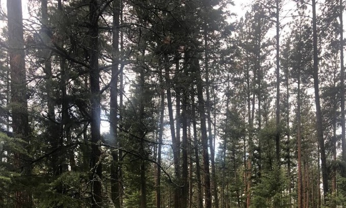 Huson Casa | Unique Montana Adventure