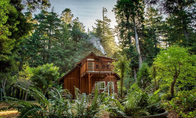 Fort Bragg Cabina | Unique retreat surrounded by redwoods - outdoor tub & wood stove, dog-friendly