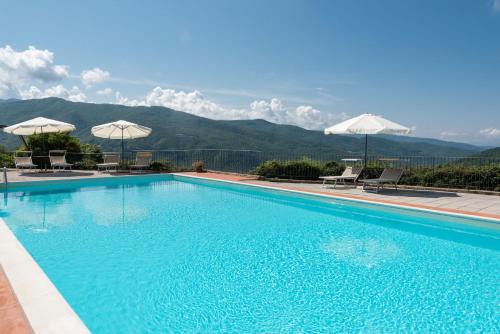Dicomano Casa | Universal Harmony - Pettirosso