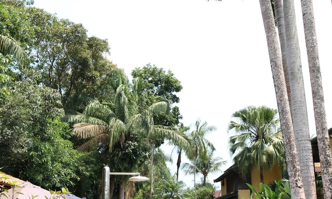 Riviera de Sao Lourenco Casa | DELICIOSA CASA FAMILIAR EN ZONA FORESTAL CONSERVADA