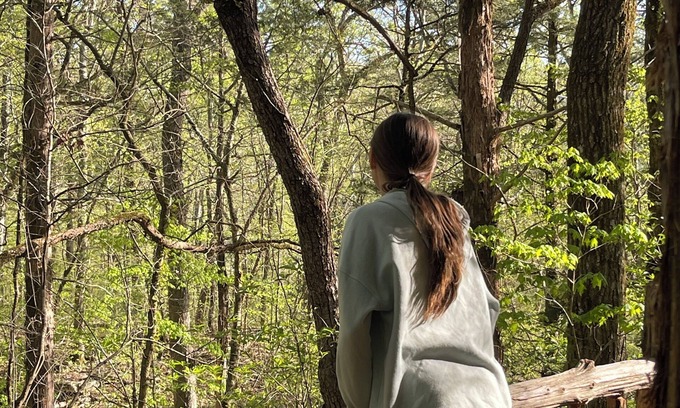 South Pittsburg Cabina | Unplug and hide from the world in this rustic South Pittsburg cabin