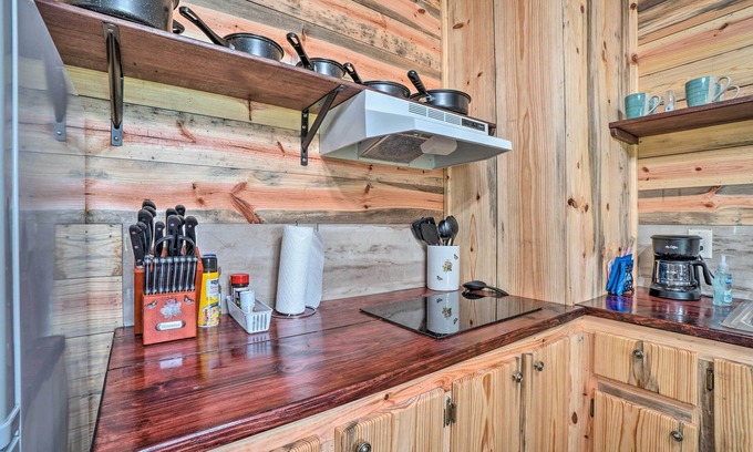 Ozark Cabaña | Updated Studio Cabin in Ozark w/ Yard & Mtn View