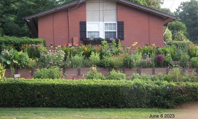 Durham Casa | Urban garden home near Duke/Downtown/Museums