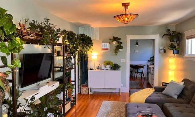 North Park Casa | Urban Greenhouse