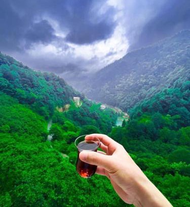 Caykara Casa | Uzungöl’e Yakın Doğadaki Eviniz