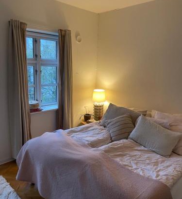 Odense Casa | Værelse udlejes i herskabslejlighed midt i Odense by