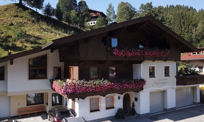 Wildschoenau Apartamento | Vacation apartment/apartment for 5 guests with 51m² in Auffach Wildschönau (150255)