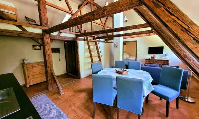 Seifhennersdorf Apartamento | Vacation apartment/apartment for 7 guests with 48m² in Seifhennersdorf (273065)