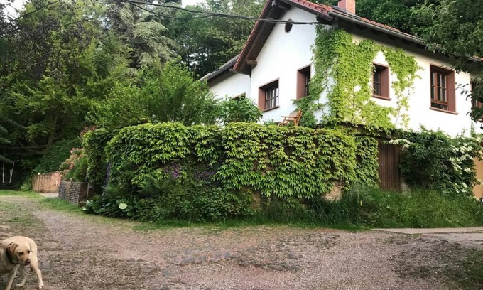 Merzig Apartamento | Vacation apartment Grün und Aussichtsreich - apartment/apartment, shower, WC, 1