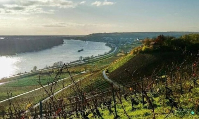 Mainz-Bingen Apartamento | Vacation apartment Uhrturm